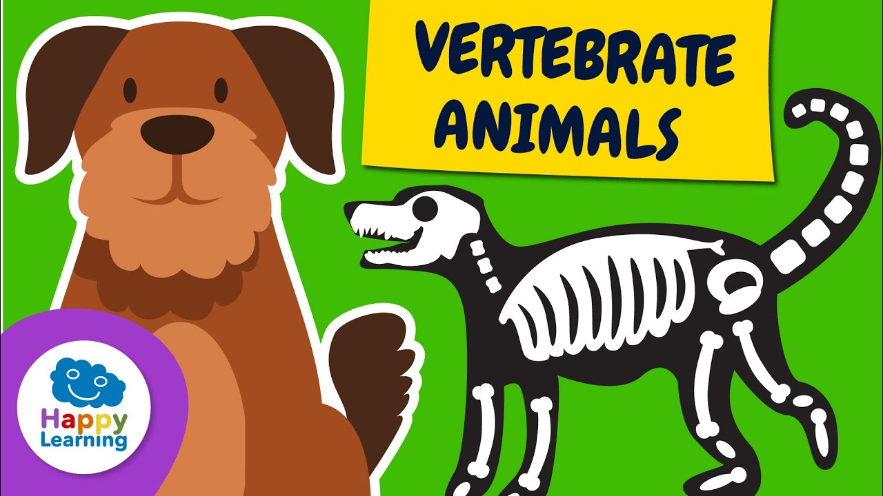 🐾 VERTEBRATE ANIMALS Explained for Kids | Educational Videos for Children | @HappyLearningEN