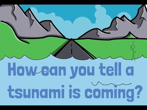 Kids Ask an Expert - How can you tell a tsunami is coming?