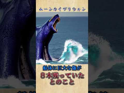 先史時代の海洋動物 - 珍品とイメージ -