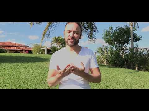 Viver video