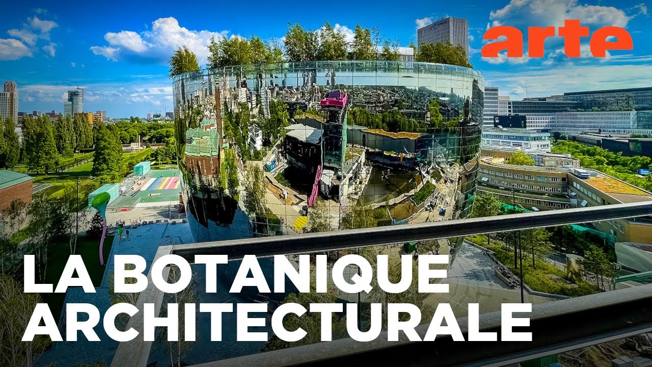 Ponts vivants et constructions en fibres | Matériaux d’hier et de demain | ARTE