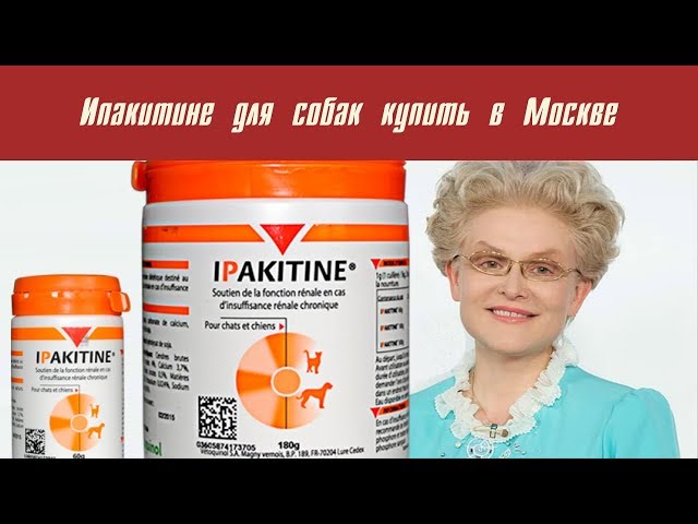 Купить Ипакитине Для Кошек В Интернет Магазине
