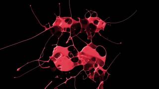 Angel Heredia & Dj Kone & Marc Palacios - Guitarolé (Original Mix)