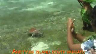 preview picture of video 'Vanuatu Aneityum Island'