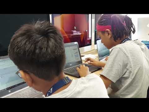 MYP Year 7 Design a Mascot for ARIS