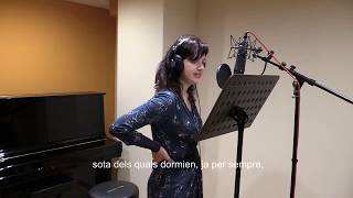 El paleta de Valtellina