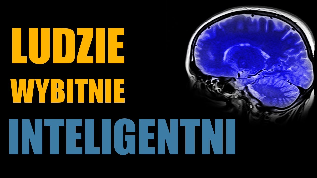 Porada dla ludzi wybitnie inteligentnych - Jordan B Peterson