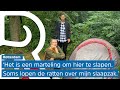 Dakloze arbeidsmigranten in Rotterdam