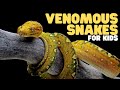 Venomous Snakes For Kids Learn Fun Facts About Venomous Snake Species