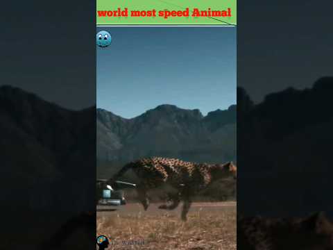 world most speed get Animal #shorts wildlife hashtags#wildlife #wildlifephotography #wildAdvancture