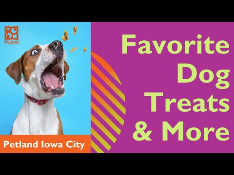 Favorite Treats & Supplements For Pups