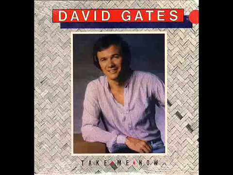 DAVID GATES - Silky