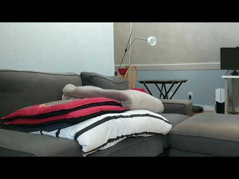 78 Parsons #3, Brighton MA