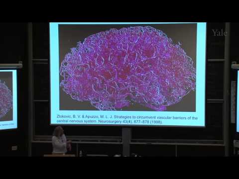 4/28/12 Mark Saltzman - Biomedical Engineering and Medicines of the Future