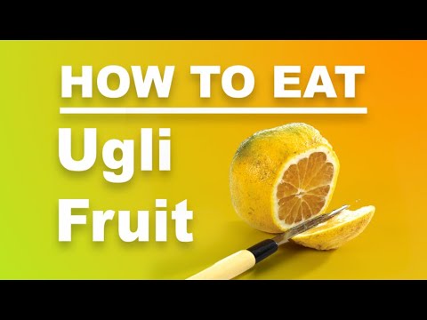 How to open an eat Ugli Fruit!