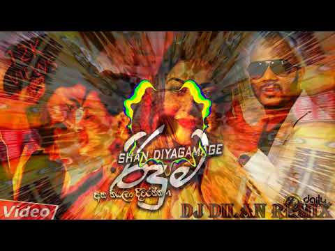 Riduma DJ DiLaN ReMix (Punjab Mix)