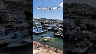 Download lagu seharusnya aku by Elsa pitaloka #shorts mp3 Download lagu seharusnya aku by Elsa pitaloka #shorts mp3