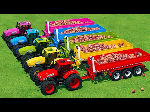 LOAD & TRANSPORT APPLES WITH LAMBORGHINI TRACTORS AND CLAAS WHEEL LOADERS - Farming Simulator 22