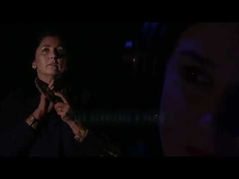 "Simone Veil", les combats d'une effrontée"