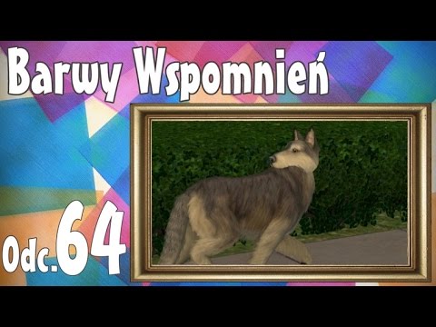 🎨 Barwy Wspomnień, odc. 64 - Dziwny pies i randka marzeń