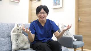 HSPについて解説します。【精神科医・益田裕介/早稲田メンタルクリニック】