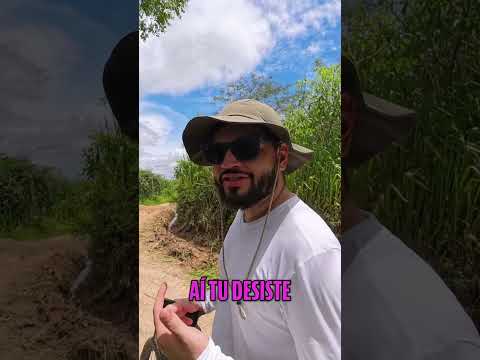 Descobrindo Cumbe: Tradições e Lugares Incríveis! #shorts