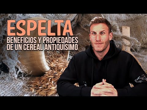 download lagu mp3 mp4 Espelta Propiedades Y Contraindicaciones, download lagu Espelta Propiedades Y Contraindicaciones gratis, unduh video klip Download Espelta Propiedades Y Contraindicaciones Mp3 dan Mp4 Full Gratis