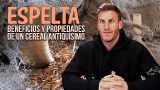 ESPELTA: BENEFICIOS Y PROPIEDADES DE UN CEREAL ANTIQUÍSIMO. JOSE BLESA. NUTRICIONISTA DEPORTIVO.