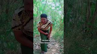 Download lagu Lagu ikan di dalam kolam (parodi) kang kaslan lucu ngakak #viral versi jawa mp3 Download lagu Lagu ikan di dalam kolam (parodi) kang kaslan lucu ngakak #viral versi jawa mp3