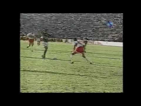 Palmeiras 4 x 0 Botafogo-SP - Campeonato Paulista 1996