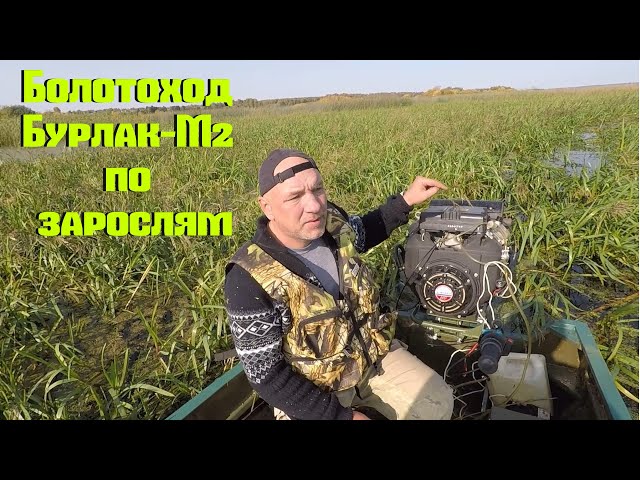 youtube.com/embed/rLhdppGWoxw