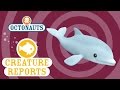 Octonauts Creature Report Dolphins