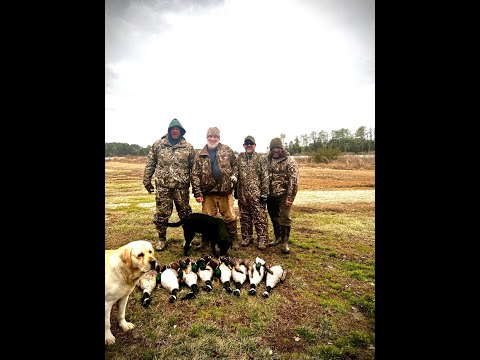 Don and Diane Shipley LIVE - January 15th at 1800 EST Thumbnail