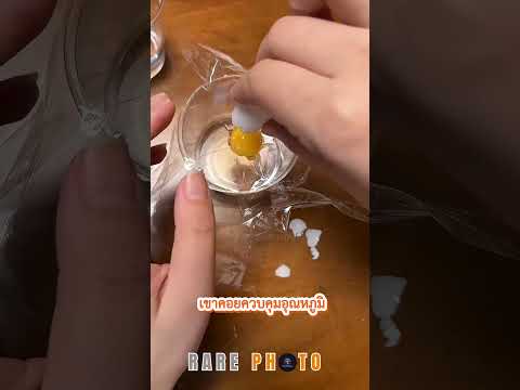 ปาฏิหาริย์ในแก้วน้ำ! 🐢 วินาทีช่วยชีวิตลูกเต่าจากไข่ที่แตกพังยับ