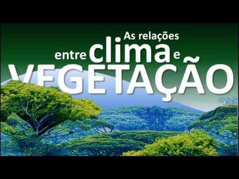 Climas e vegetações