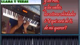 (Cover: Juanjo Acordes) Luis Alberto Spinetta - Llama y Verás