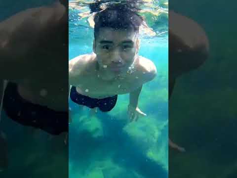 Merman is real.#shorts #underwater