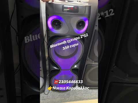 Bluetooth speaker karaoke 2x12-thumb-1