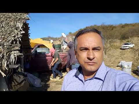 Vereador do interior