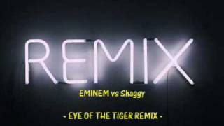 EMINEM vs Shaggy - Eye Of The Tiger REMIX