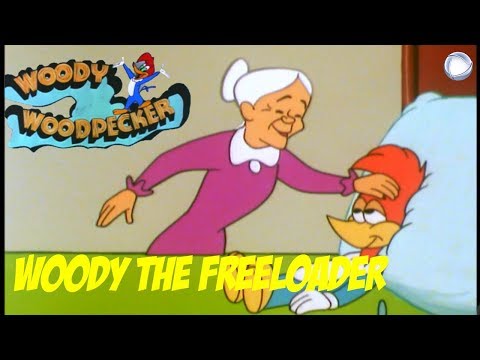Woody Woodpecker in Woody the Freeloader | A Walter Lantz Production