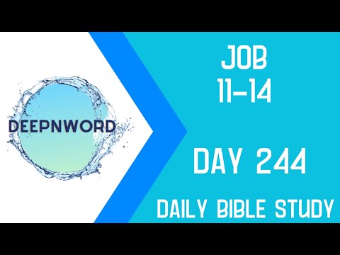 Job: Bible Study (Chapters 11-14)