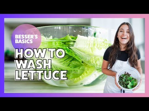 How to Wash Lettuce | Besser's Basics | Elena Besser | 2020
