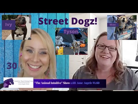 Street Dogz - Helps Homeless Pets & Their People | Ep 30