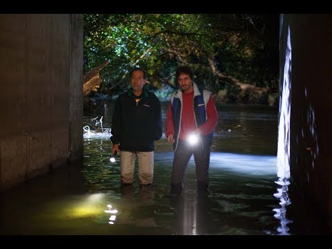 "The Heist of the Century". Trailer #1. Official Warner Bros. Pictures Argentina (HD)