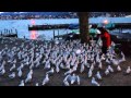 Old Lady Feeding Seagulls By Lake Zürich Alte Frau Füttert Möven Beim Zürichsee