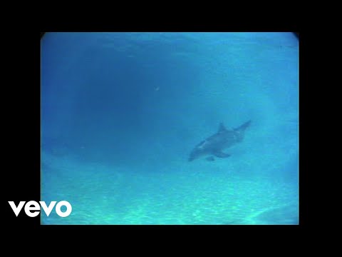 The Promise The Dolphin Song - Olivia Newton-John