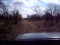South Africa 2008 Part1