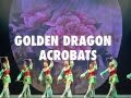 HCC Circus Commercial