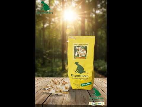 Pavito's Native Seed: Ecological & Cultural Treasure